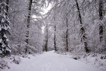 snow just for a few days