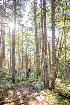 Young couple walk through forest on Appalachian Trail in Maine