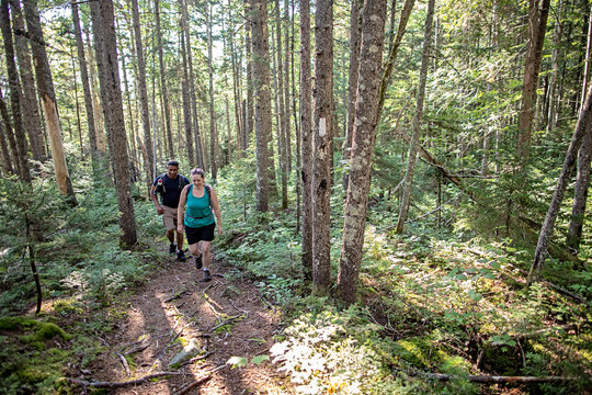 Black man and white woman hike in woods on Appalachian Trail in Maine
