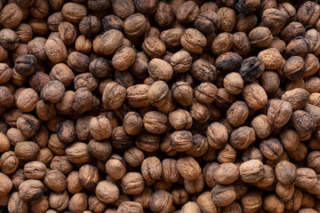 close up of walnuts