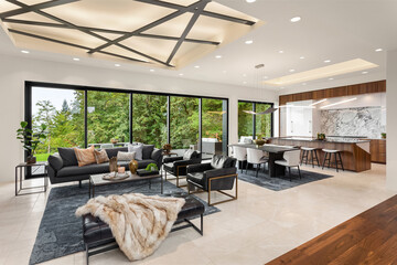 Living room and kitchen in new contemporary style luxury home