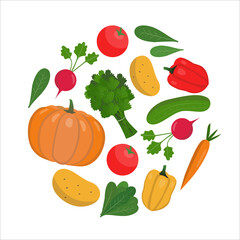 Round composition of vegetables on a white background. Vector illustration for menu, website, packaging or decor