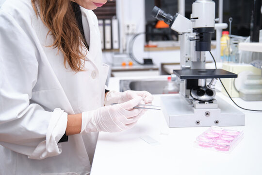 Unrecognizable young female scientist preparing samples to look them through a microscope in a laboratory. Laboratory research concept.