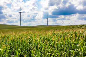 Nebraska corn fields with wind turbines