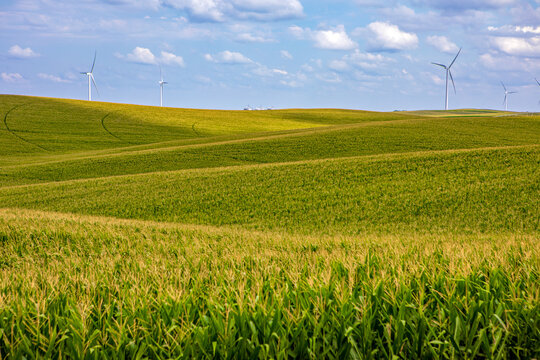 Nebraska corn fields with wind turbines