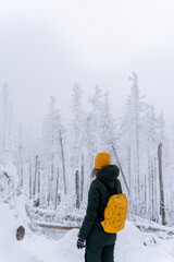 Snowlandscape and snowed trees on the Brocken in Harz in Germany 