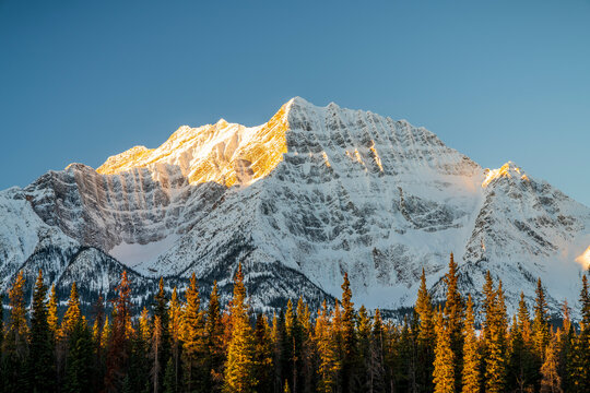 Mountain Sunrise Along Icefields Parkway Athabasca River