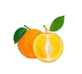 ripe orange on a branch on a white background