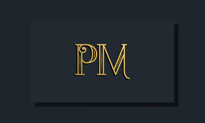 Minimal Inline style Initial PM logo.