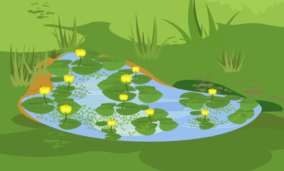 Fototapeta na wymiar Abstract green landscape with blue pond overgrown with flowering yellow water-lily (Nuphar lutea) with green leaves