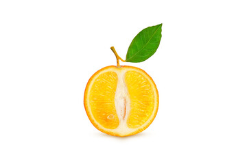 ripe orange on a branch on a white background