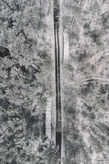 topdown aerial view on snow covered trees 