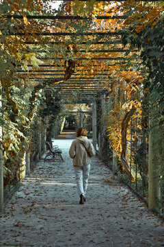 Woman walking in park at autumn time