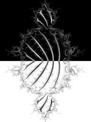 Obraz premium intricate black and white positive and negative fractal of leaf veins patterns and design