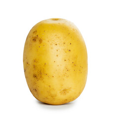 Potato on white background
