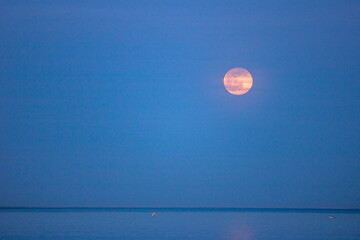 Full moon