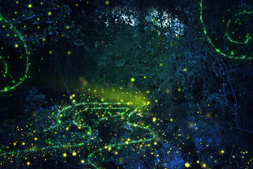 Abstract and magical image of Firefly flying in the night forest. Fairy tale concept
