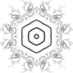 intricate black and white positive and negative fractal of leaf veins patterns and design

