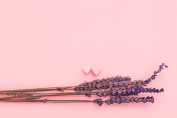 Hearts of marshmallow and dried lavender flowers on a pink background