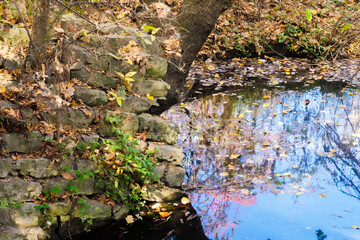 Fall foliage reflected in pond
