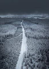 Snowy winter landscape with road leading through forest covered in snow. Snowy tree tops. White scenic countryside.