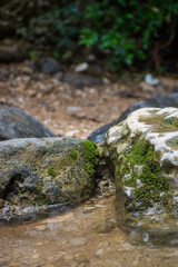 piedras de rio en la orilla 