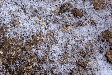 soil covered with snow in the winter