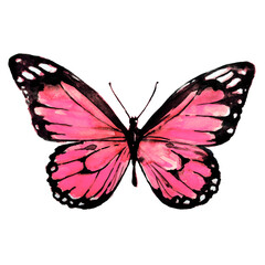 beautiful pink butterflies, pink pattern