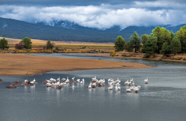 Payette River, Lake Cascade, Idaho