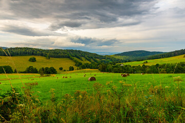 Meadow with haystack, pasture with cows, green hills with woods in summer, Rychleby mountains.