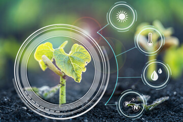 Smart Farming and Agriculture. Monitoring the growth of sprougt plants. Modern Agricultural Information Technology Integrate concept.