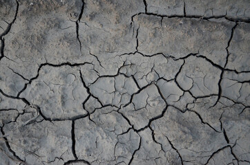 cracked earth texture