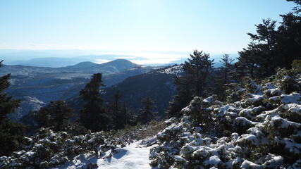 Breathtaking scenic view to whole Athens - Attica from snowed peak of Parnitha mountain, Greece