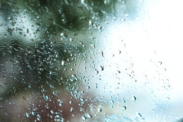 Raindrops on window glass, tree branches in the background