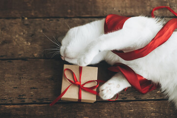 Obraz na płótnie Canvas Happy Valentines day. Adorable cat playing with red ribbon and gift box on rustic wood. Love