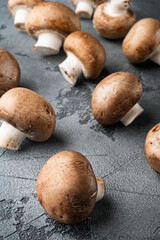 Royal mushrooms champignon whole, on gray background