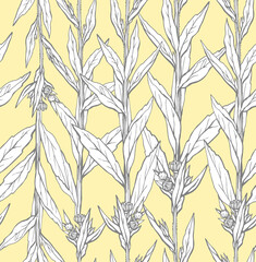 Seamless pattern with hand drawn wild flower with leaves. Vector illustration. Botanical pattern for textiles and wallpapers.