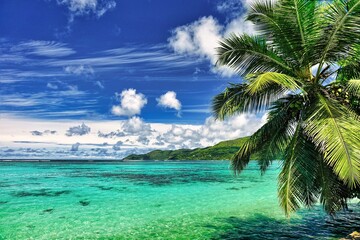 Plakat Paysage de rêve de l'île de Mahé aux Seychelles