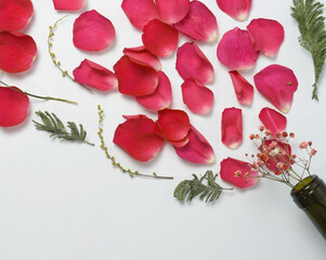 rose petals and ornamental plants are bursting from the neck of the bottle. womens day, floral wine aromas. copy space.
