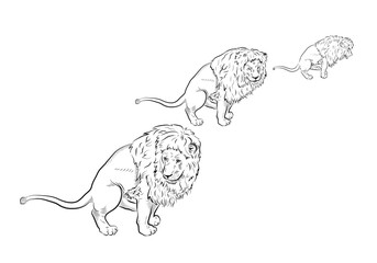 Set. Sketch. Lions in WC.