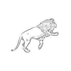 Sketch of climbing lion.