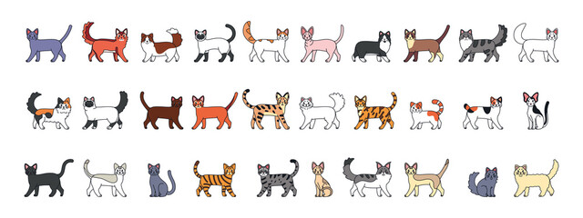 Set of a cats cartoon. Cats breeds - Vector illustratrion
