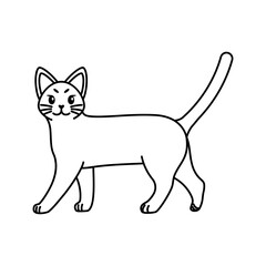 Isolated outline of a cat - Vector illustration