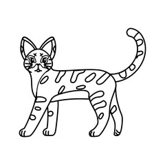 Isolated outline of a cat - Vector illustration