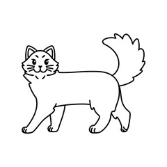 Isolated outline of a cat - Vector illustration