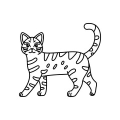 Fototapeta na wymiar Isolated outline of a cat - Vector illustration