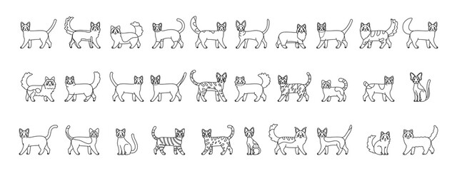 Set of cats outlines. Cats breeds - Vector illustration