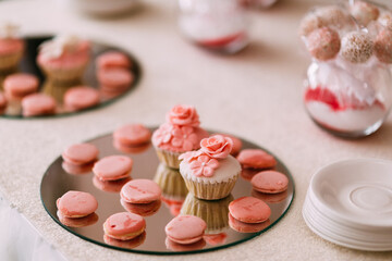 chocolate cupcakes on a plate
