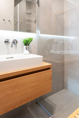 Interior of bathroom with wooden shelf with stylish basin and plant and mirror. Shower and faucet in modern indoor. 