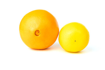 Back side of orange and lemon isolated on white background. Sweet and sour citrus fruit.
